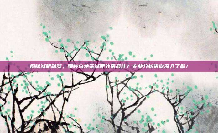 揭秘减肥利器，哪种乌龙茶减肥效果最佳？专业分析带你深入了解！