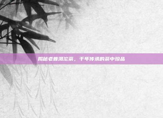 揭秘老普洱沱茶，千年传承的茶中珍品