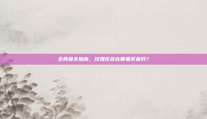 全网最全指南，玫瑰花茶在哪里买最好？