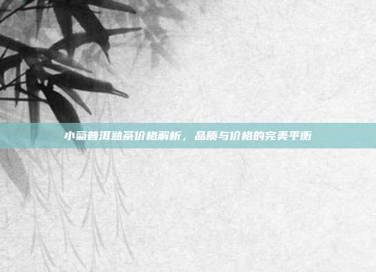 小菊普洱熟茶价格解析，品质与价格的完美平衡