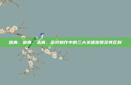 晾青、做青、杀青，茶叶制作中的三大关键步骤及其区别