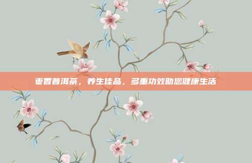 枣香普洱茶，养生佳品，多重功效助您健康生活