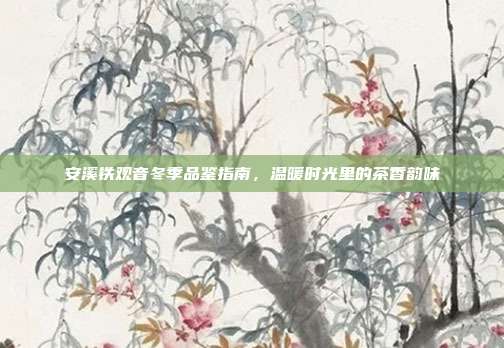 安溪铁观音冬季品鉴指南，温暖时光里的茶香韵味