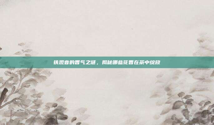 铁观音的香气之谜，揭秘哪些花香在茶中绽放