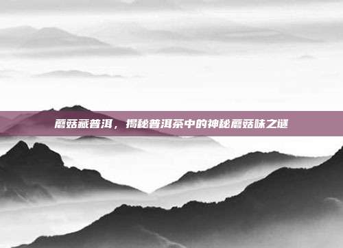 蘑菇藏普洱，揭秘普洱茶中的神秘蘑菇味之谜