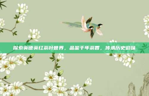 探索英德英红茶叶世界，品鉴千年茶香，传承历史韵味
