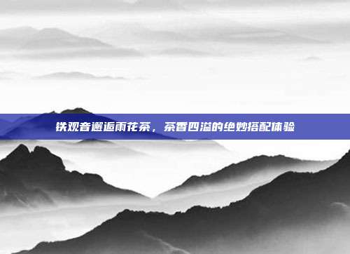 铁观音邂逅雨花茶，茶香四溢的绝妙搭配体验