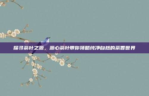 探寻茶叶之源，源心茶叶带你领略纯净自然的茶香世界