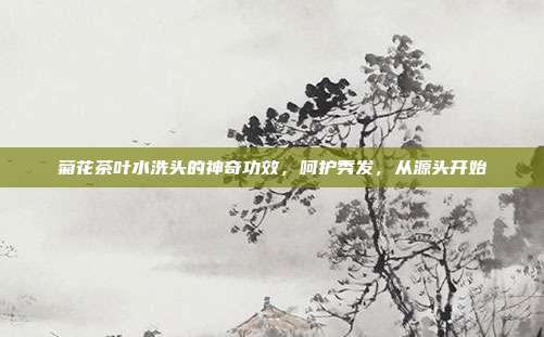 菊花茶叶水洗头的神奇功效，呵护秀发，从源头开始