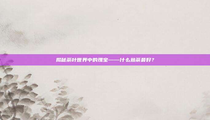 揭秘茶叶世界中的瑰宝——什么熟茶最好？