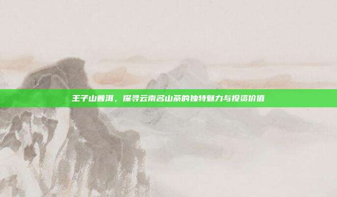 王子山普洱，探寻云南名山茶的独特魅力与投资价值