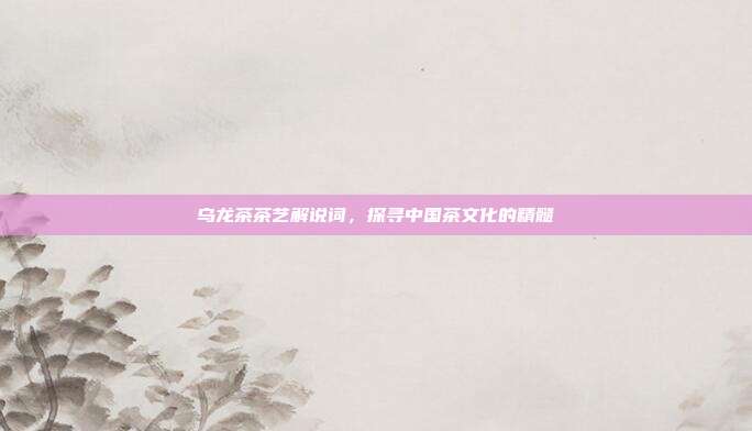 乌龙茶茶艺解说词，探寻中国茶文化的精髓