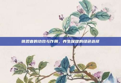 铁观音的功效与作用，养生保健的绿色选择
