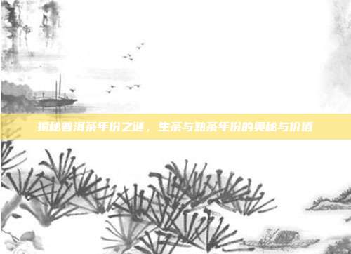 揭秘普洱茶年份之谜，生茶与熟茶年份的奥秘与价值