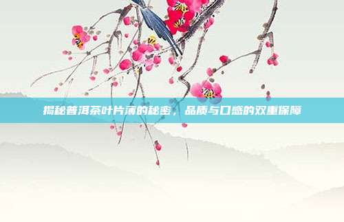 揭秘普洱茶叶片薄的秘密，品质与口感的双重保障