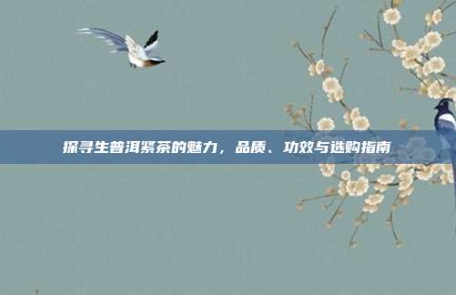 探寻生普洱紧茶的魅力，品质、功效与选购指南