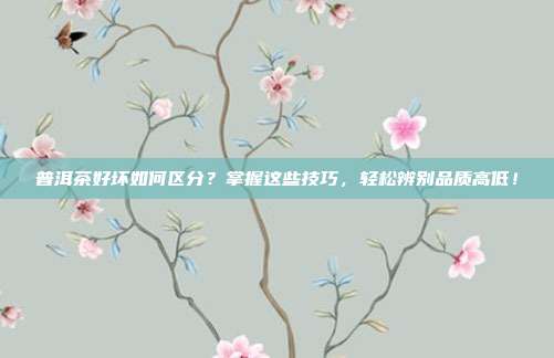普洱茶好坏如何区分？掌握这些技巧，轻松辨别品质高低！