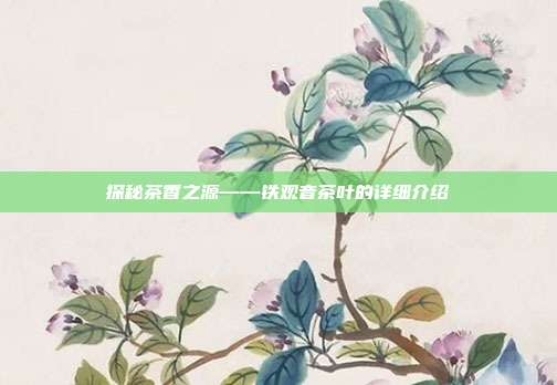 探秘茶香之源——铁观音茶叶的详细介绍
