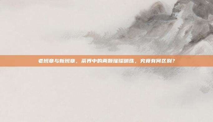 老班章与新班章，茶界中的两颗璀璨明珠，究竟有何区别？