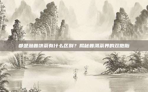 都是熟普饼茶有什么区别？揭秘普洱茶界的双胞胎