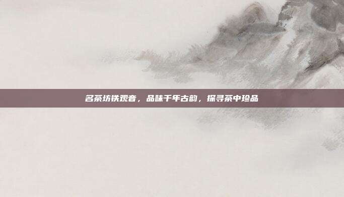 名茶坊铁观音，品味千年古韵，探寻茶中珍品