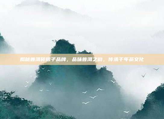 揭秘普洱碎银子品牌，品味普洱之韵，传承千年茶文化