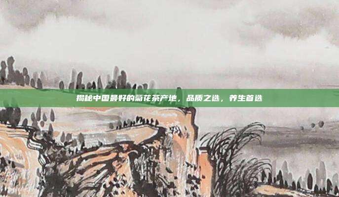 揭秘中国最好的菊花茶产地，品质之选，养生首选