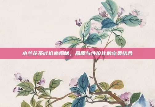 小兰花茶叶价格揭秘，品质与性价比的完美结合