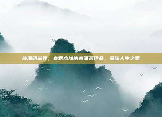普洱明前芽，春意盎然的普洱茶珍品，品味人生之美