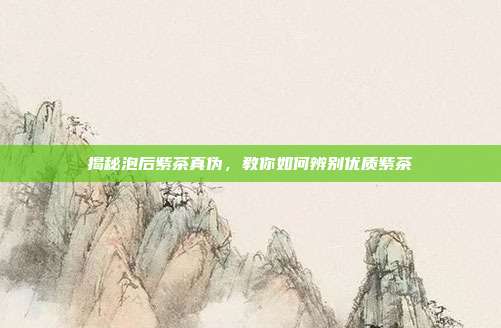 揭秘泡后紫茶真伪，教你如何辨别优质紫茶
