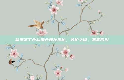 普洱茶干仓与湿仓储存揭秘，养护之道，茶香四溢