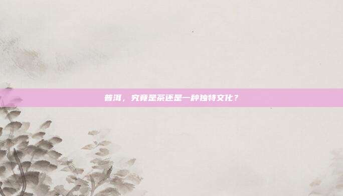 普洱，究竟是茶还是一种独特文化？