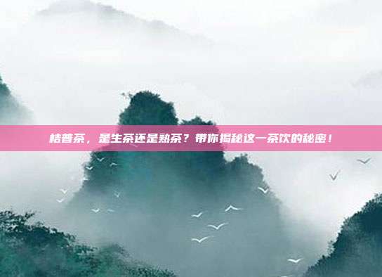 桔普茶，是生茶还是熟茶？带你揭秘这一茶饮的秘密！