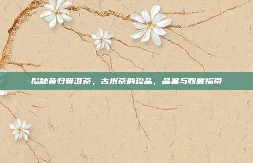 揭秘昔归普洱茶，古树茶的珍品，品鉴与收藏指南