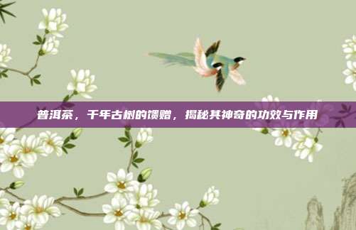 普洱茶，千年古树的馈赠，揭秘其神奇的功效与作用