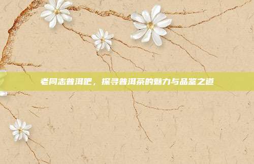 老同志普洱吧，探寻普洱茶的魅力与品鉴之道