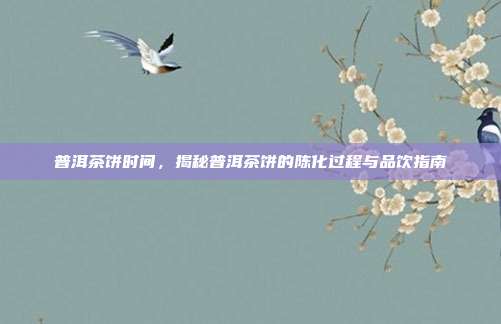 普洱茶饼时间，揭秘普洱茶饼的陈化过程与品饮指南