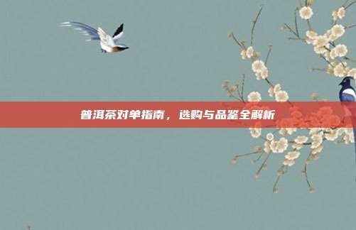 普洱茶对单指南，选购与品鉴全解析