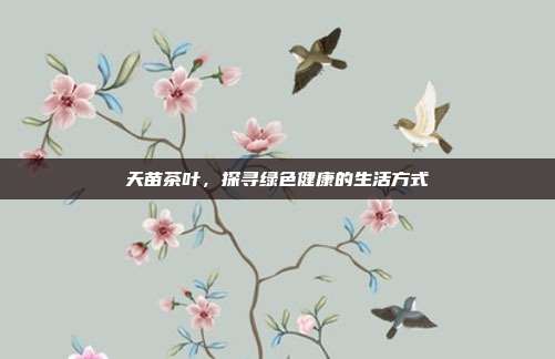 天苗茶叶，探寻绿色健康的生活方式