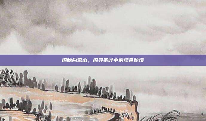 探秘白莺山，探寻茶叶中的绿色秘境