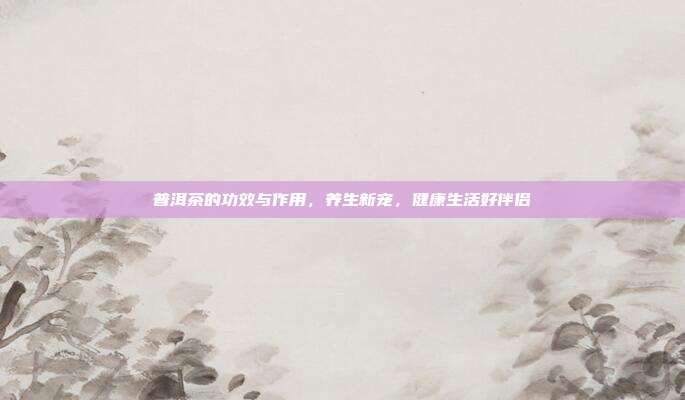 普洱茶的功效与作用，养生新宠，健康生活好伴侣