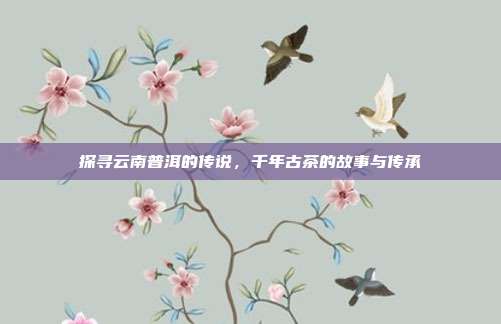 探寻云南普洱的传说，千年古茶的故事与传承