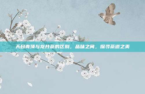 天目青顶与龙井茶的区别，品味之间，探寻茶道之美