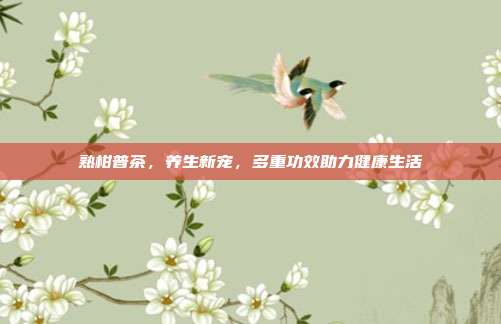 熟柑普茶，养生新宠，多重功效助力健康生活