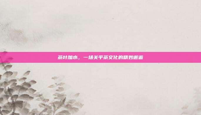 茶叶加水，一场关乎茶文化的精妙邂逅