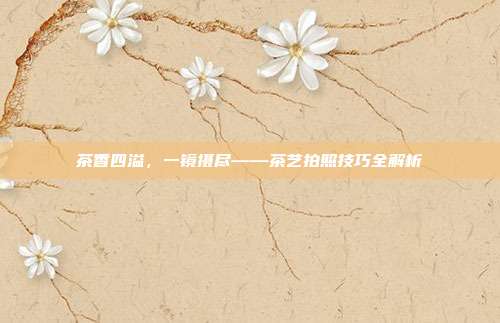 茶香四溢，一镜摄尽——茶艺拍照技巧全解析