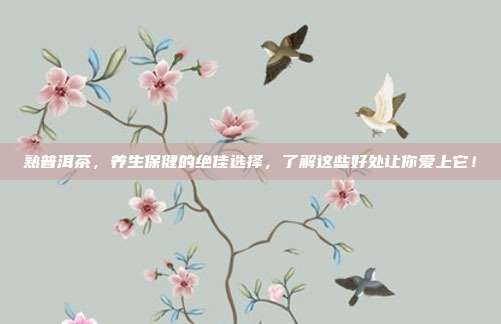 熟普洱茶，养生保健的绝佳选择，了解这些好处让你爱上它！