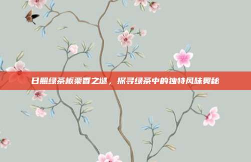 日照绿茶板栗香之谜，探寻绿茶中的独特风味奥秘