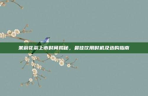 茉莉花茶上市时间揭秘，最佳饮用时机及选购指南