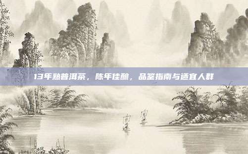 13年熟普洱茶，陈年佳酿，品鉴指南与适宜人群